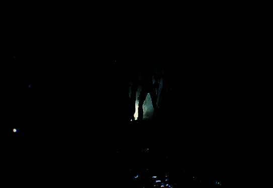 《时间旅者：重⽣曙光》相关场景画面