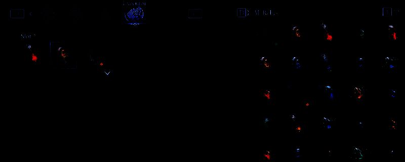 艾尔登法环黑夜君临执行者相关装备图片