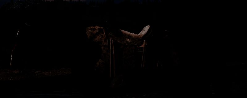 匈牙利混血马相关图片1