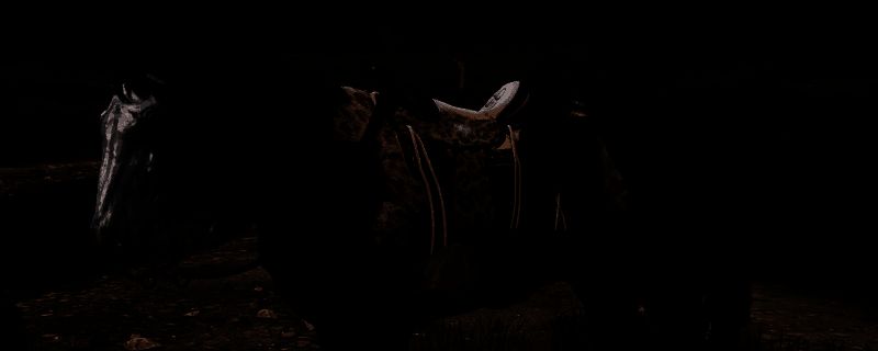 荒野大镖客2密苏里狐步马图片1