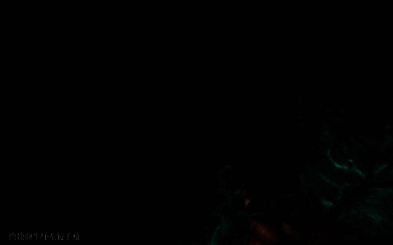 提前获得约翰左轮相关画面