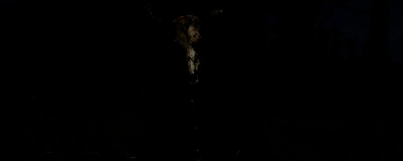 荒野大镖客2相关画面1