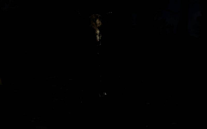 异教徒头骨面具外观