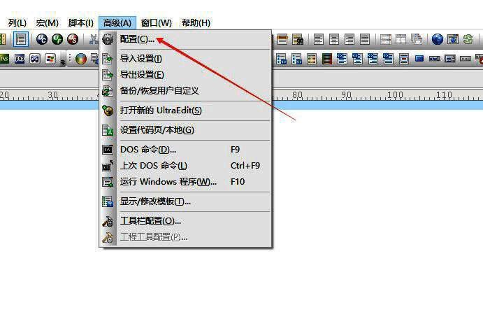 UltraEdit高级菜单下配置选项界面图