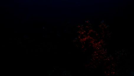 导入素材到覆叠轨的界面图片