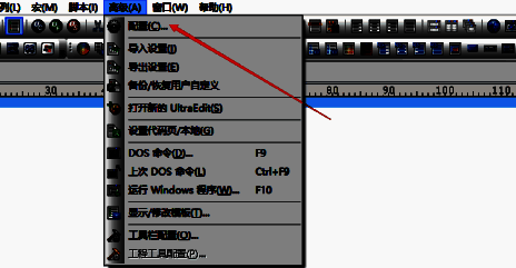选中UltraEdit配置选项的图片