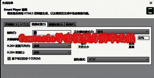Camtasia相关界面图片1