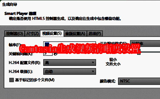 Camtasia相关界面图片1