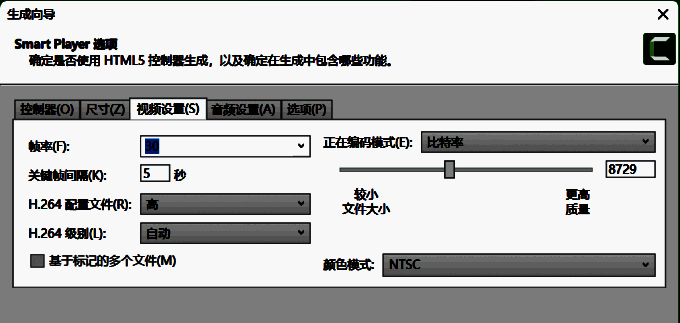 Camtasia视频设置界面图片