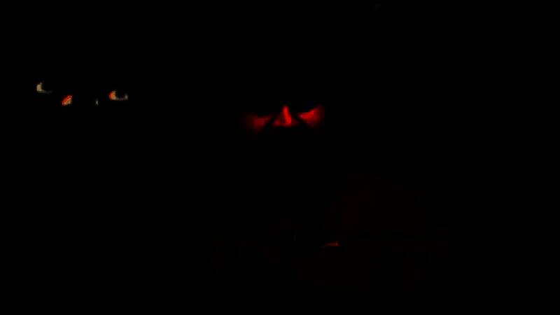 《Mewgenics》游戏画面2