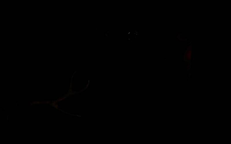 荒野大镖客2恐怖人体改造试验彩蛋中的双头人标本