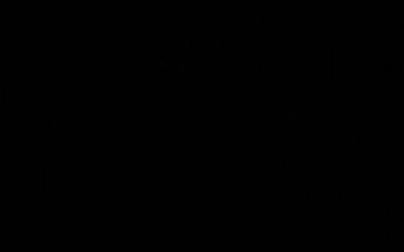 荒野大镖客2恐怖人体改造试验彩蛋中的臭鼬头加老鹰翅膀标本