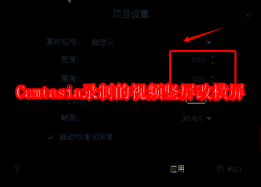 Camtasia软件相关界面图