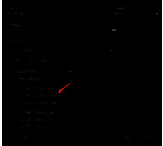 Camtasia选择视频规格配图