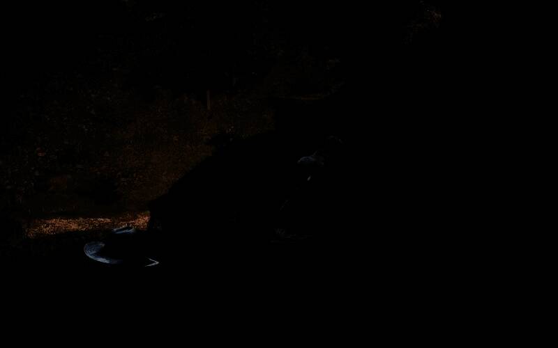 用套锁套住安达卢西亚马