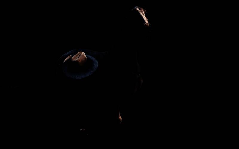 接近并安抚安达卢西亚马