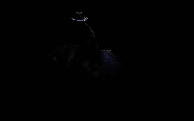 使用特殊方法驯服安达卢西亚马