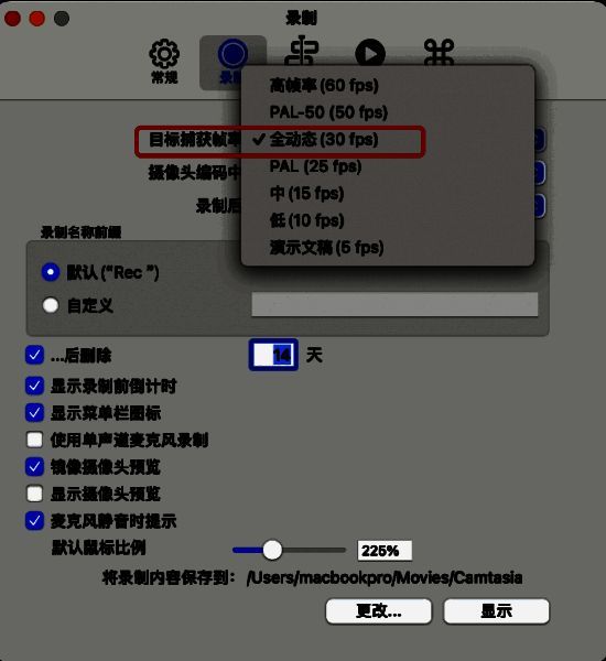 全动态30fps配图