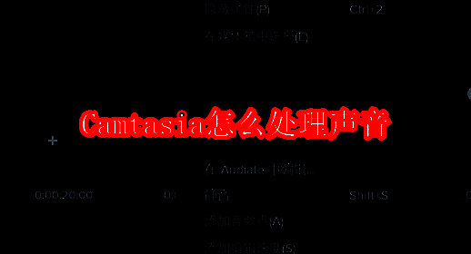 Camtasia软件相关界面图