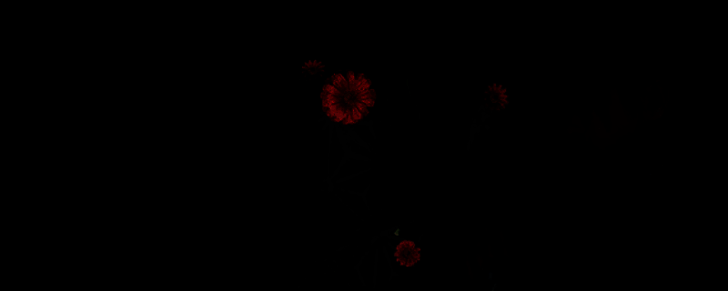 轮回之兽相关图片1