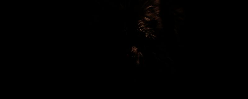 荒野大镖客2打猎场景图