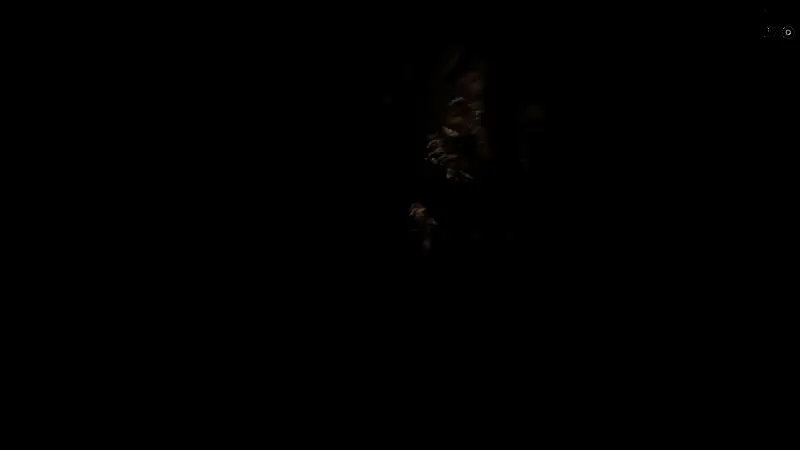 荒野大镖客2武器使用场景图1