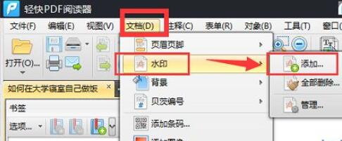 轻快PDF阅读器水印功能选项图