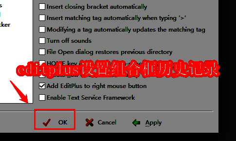EditPlus相关界面图片1