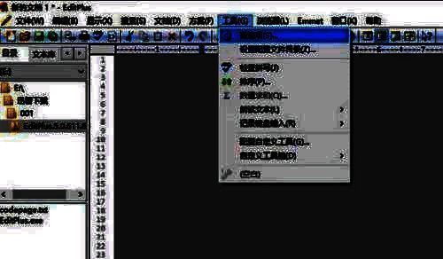 EditPlus首选项选择截图