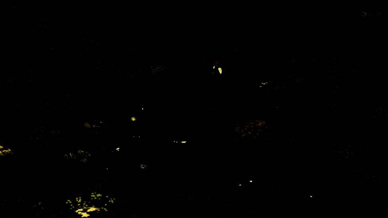 《Mandrake》游戏画面4