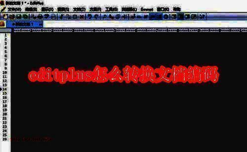 EditPlus相关界面图1