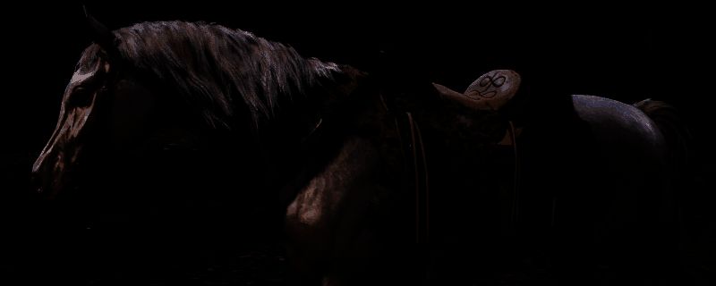 白化阿拉伯马奔跑动态展示，展现其极速冲刺姿态