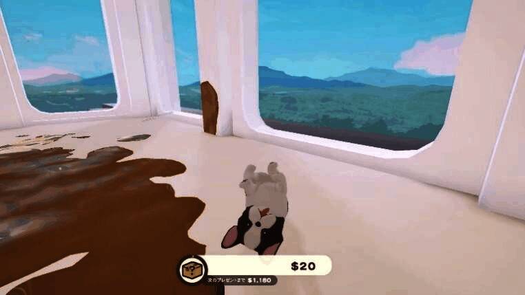 贵宾犬叼着拖鞋在地毯上奔跑