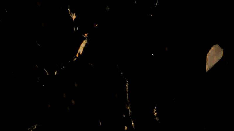 游戏画面中角色变异瞬间，场景紧张刺激