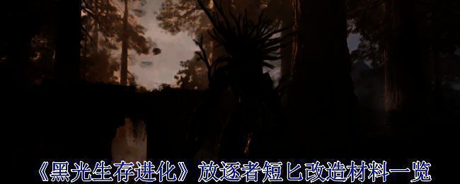 《黑光生存进化》游戏封面，展现黑暗与光明交织的魔幻世界