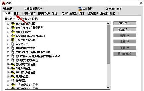选项窗口中的显示标签页已打开，列有多个显示设置参数