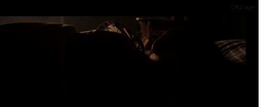 浏览器预览效果图，展示成功加载的ckplayer播放器界面