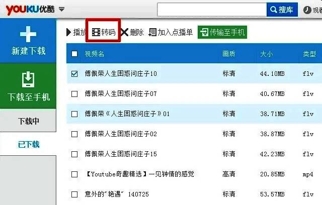 视频搜索界面截图，展示多个热门视频列表及下载选项
