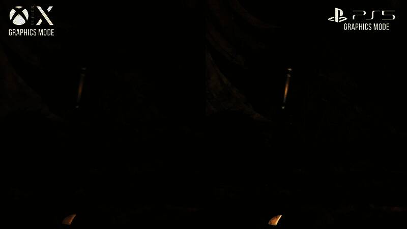 野外场景中植被密度和细节层次对比强烈