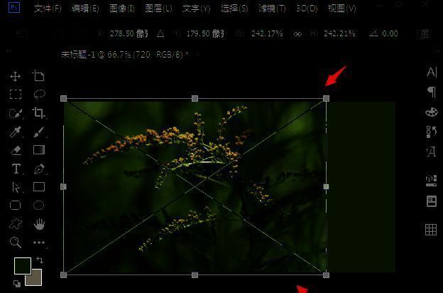 绿色背景图片被插入到新建立的深绿色画布上