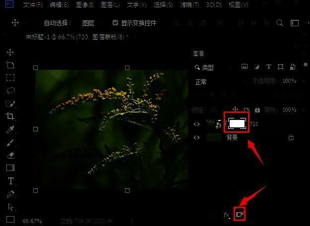 图层面板中已添加白底蒙版，准备下一步调整