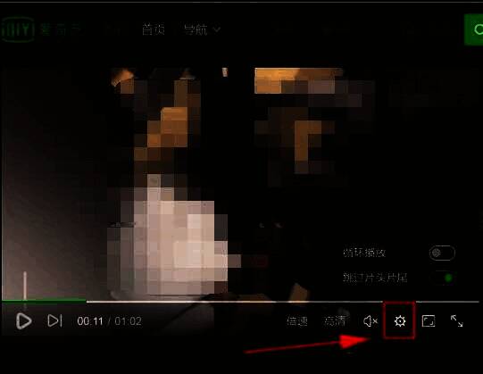 播放器设置界面展示，包含多个功能选项的控制面板