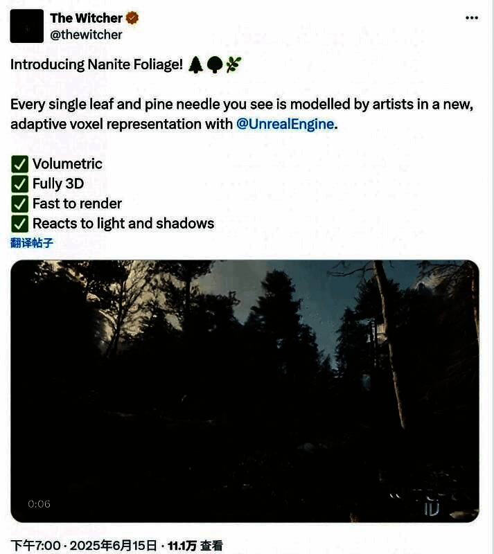 《巫师4》森林场景中树叶随风摆动，光影交错，展现出惊人的真实感