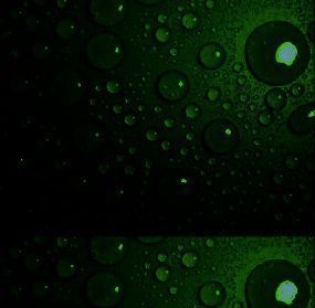 导入图片后的界面预览，显示新背景已成功加载并应用到工作区