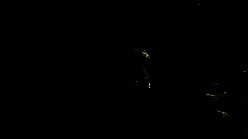 地图探索画面，展现巴蜀地貌细节，环境真实细腻