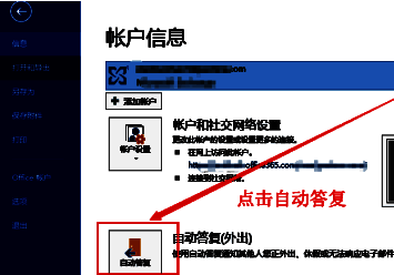 自动回复选项在功能列表中的具体位置展示