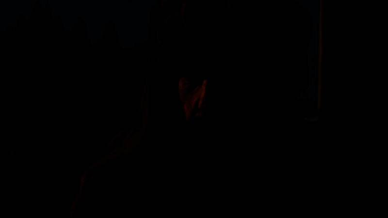 菲利普・韦伯接受采访现场照片，背景为CDPR办公环境