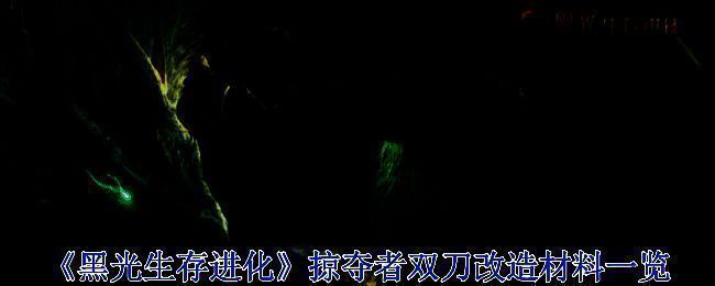 游戏内武器界面展示，显示掠夺者双刀的基础属性与词条选项