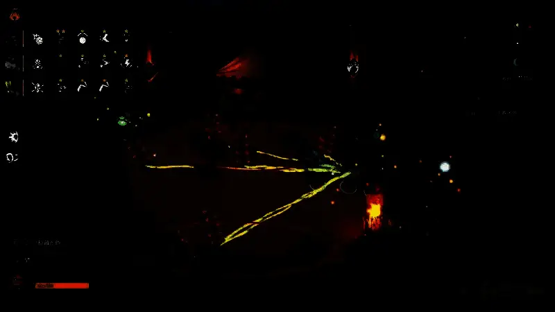 不同种类的植物种子特写展示