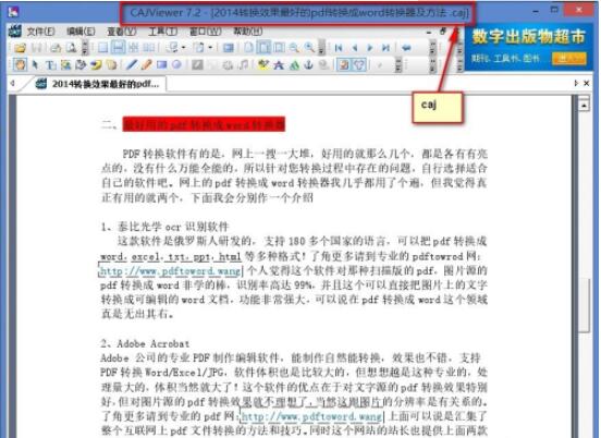 CAJViewer文件导入界面示意图，显示打开文件的操作路径